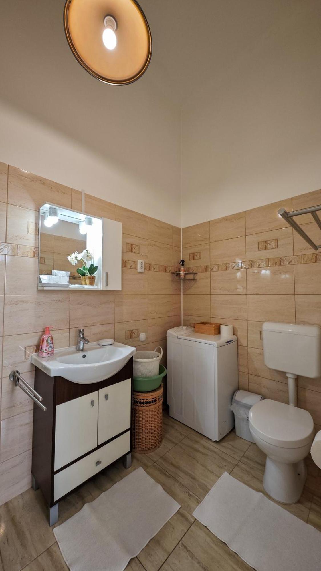 Neuhausz Residenz Ultra-Central Apartment 蒂米什瓦拉 外观 照片